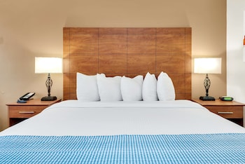 Standard Room, 1 King Bed, Non Smoking, Refrigerator & Microwave