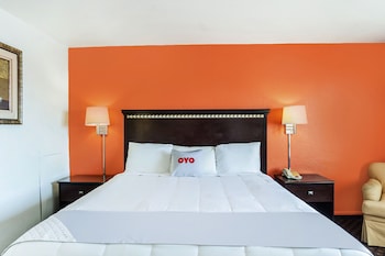 Room, 1 King Bed