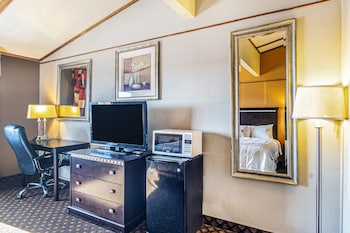 Room, 1 King Bed