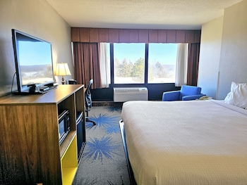 Room, 1 King Bed, Non Smoking