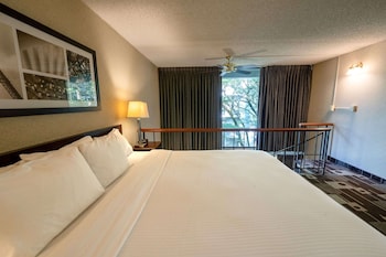 Suite, 1 King Bed with Sofa bed (Coast Townhouse Loft Suite)