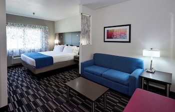 Standard Room, 1 King Bed with Sofa bed