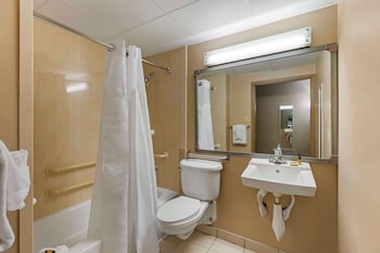 Standard Room, 1 King Bed, Accessible, Bathtub (Bathtub )
