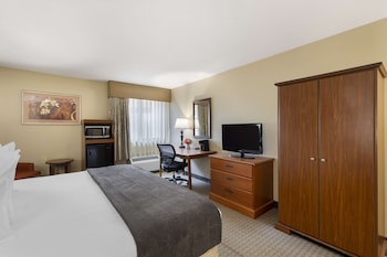 Standard Room, 1 King Bed, Accessible, Bathtub (Bathtub )