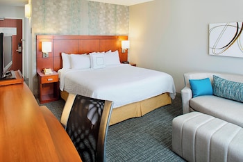 Room, 1 King Bed with Sofa bed