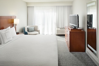 Room, 1 King Bed with Sofa bed