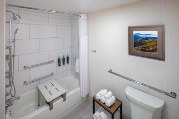 Room, 1 King Bed, Accessible, Bathtub