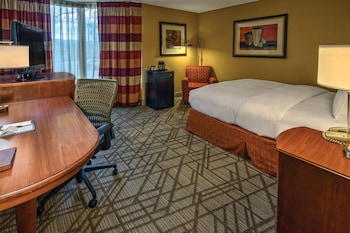 Room, 1 Queen Bed, Accessible (Mobility & Hearing, Roll-in Shower)