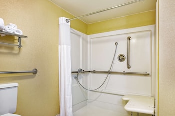 Room, 1 Queen Bed, Accessible (Mobility & Hearing, Roll-in Shower)