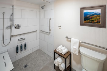 Room, 1 Queen Bed, Accessible (Mobility & Hearing, Roll-in Shower)