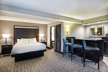Suite, 1 Bedroom, Non Smoking
