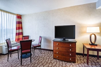 Suite, 1 Bedroom