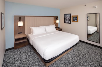 Room, 1 King Bed, Accessible, Bathtub