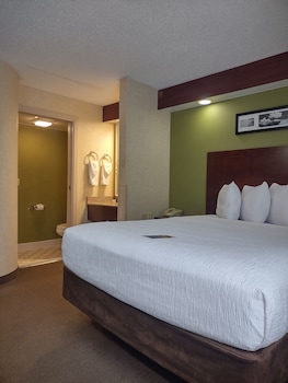 Studio Suite, 1 Queen Bed, Non Smoking
