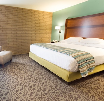 Room, 1 King Bed with Sofa bed (Sofa Sleeper)