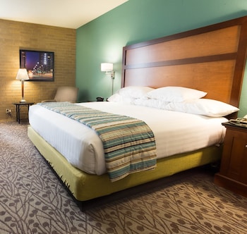 Room, 1 King Bed with Sofa bed (Sofa Sleeper)