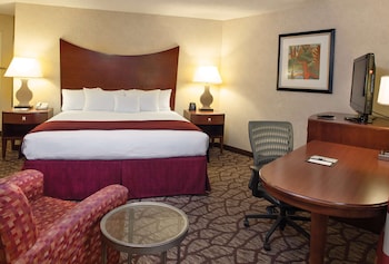 Room, 1 King Bed, Accessible, Bathtub (Mobility)