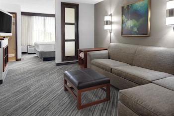 Room, 1 King Bed with Sofa bed (Specialty)