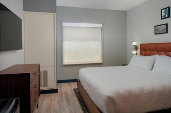 Suite, 1 Bedroom, Transfer Shower