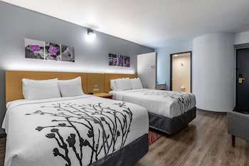 Standard Room, 2 Double Beds, Non Smoking