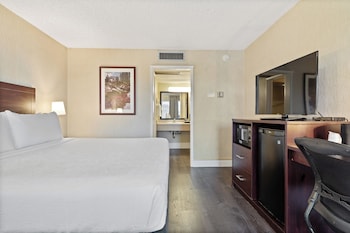 Business Room, 1 King Bed