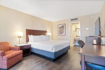 Business Room, 1 King Bed