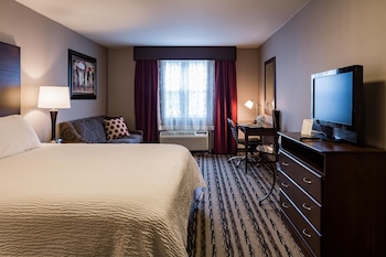Standard Room, 1 King Bed with Sofa bed, Non Smoking (No Pets)