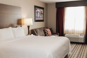 Standard Room, 1 King Bed with Sofa bed, Non Smoking (No Pets)