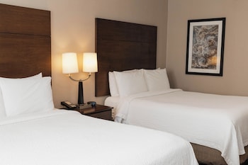 Double Room, 2 Double Beds, Non Smoking (Pets Allowed)