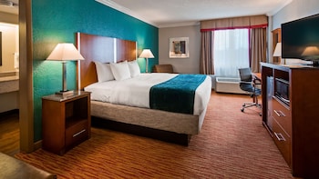 Standard Room, 1 King Bed, Accessible, Non Smoking (Walk-in Shower)