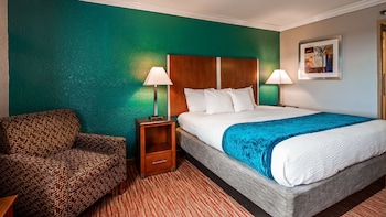 Standard Room, 1 King Bed, Accessible, Non Smoking (Walk-in Shower)