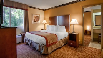Suite, 1 King Bed, Non Smoking, Refrigerator & Microwave (with Sofabed)