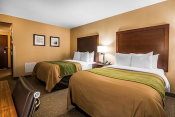 Standard Double Room, 2 Double Beds, Non Smoking