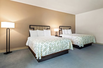 Studio, 2 Queen Beds, Non Smoking