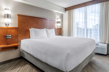 Deluxe Studio Suite, 1 King Bed with Sofa bed, Microwave (Specialty)