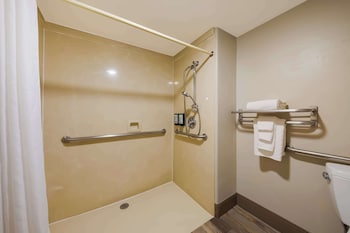 Standard Room, 1 King Bed, Accessible, Non Smoking