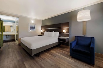 Standard Room, 1 King Bed, Accessible, Non Smoking