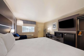 Standard Room, 1 King Bed, Accessible, Non Smoking