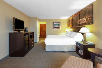 Room, 1 King Bed, Non Smoking