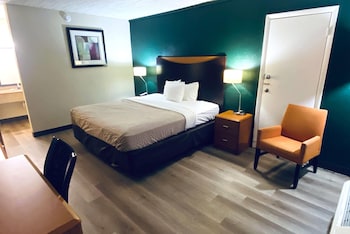 Room, 1 King Bed, Non Smoking