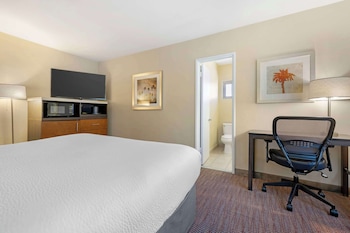 Standard Room, 1 King Bed, Non Smoking, Refrigerator & Microwave