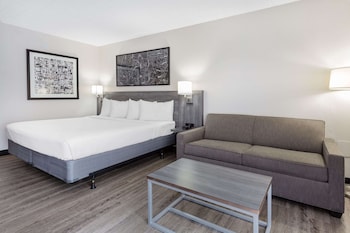 Room, 1 King Bed, Non Smoking
