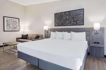 Room, 1 King Bed, Non Smoking