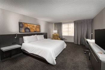 Room, 1 King Bed (Hearing)