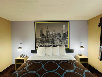 Room, 1 King Bed, Smoking