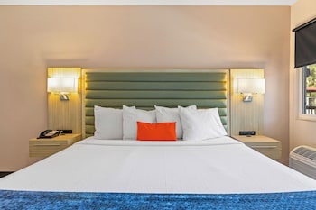 Room, 1 King Bed