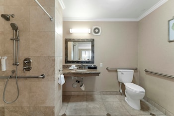 Standard Room, 1 King Bed, Accessible (Roll In Shower)