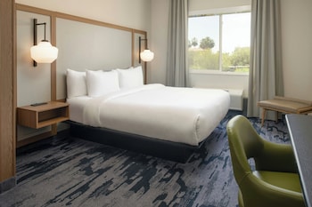 Suite, 1 King Bed with Sofa bed
