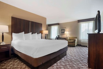 Standard Room, 1 King Bed, Non Smoking, Refrigerator & Microwave (with Sofabed)