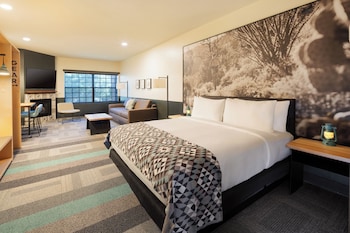 Studio, 1 King Bed with Sofa bed